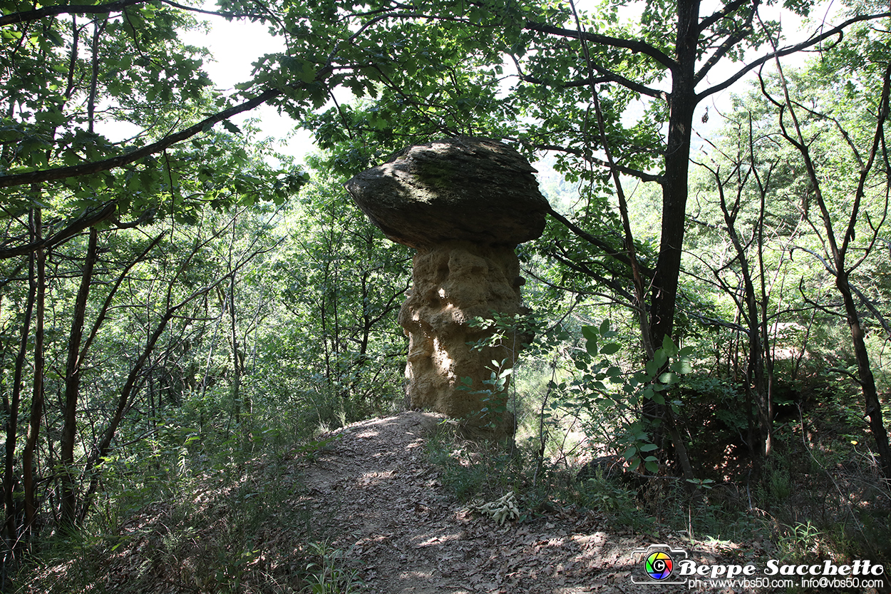 VBS_8980 - I Ciciu del Villar. Villar San Costanzo. Val Maira (Cuneo).jpg